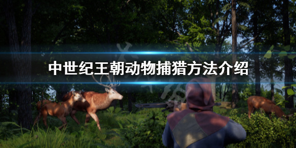 中世纪王朝怎么狩猎 中世纪王朝怎么狩猎兔子