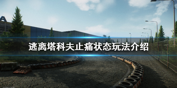 逃离塔科夫止痛状态怎么用（逃离塔科夫止痛药有什么用）