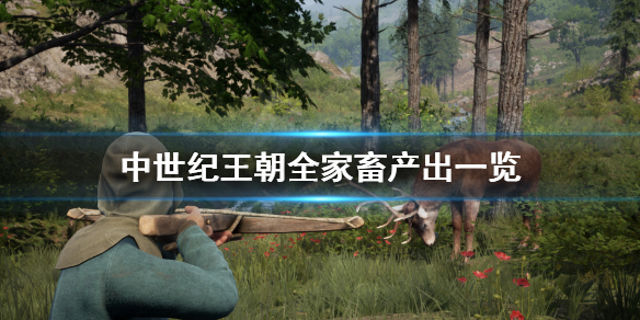 中世纪王朝怎么养动物（中世纪王朝怎么养猪）