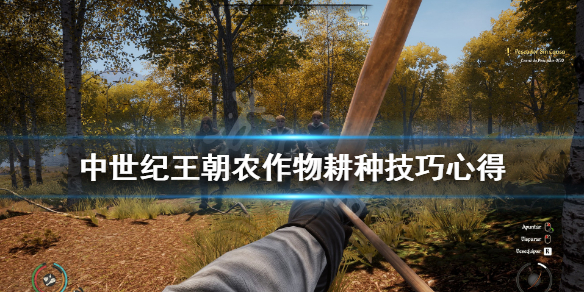 中世纪王朝农作物耕种技巧心得 中世纪王朝 耕种