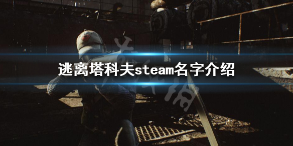 逃离塔科夫steam为什么搜索不到 逃离塔科夫为什么找不到好友