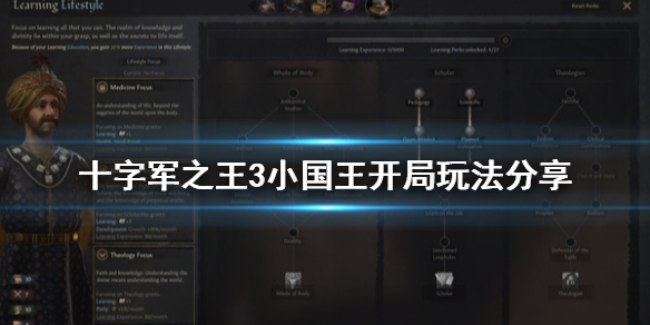 王国风云3小国王开局怎么玩 王国风云3有意思的开局