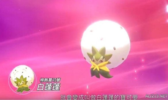 宝可梦剑盾幼棉棉进化后是什么（宝可梦 幼棉棉）