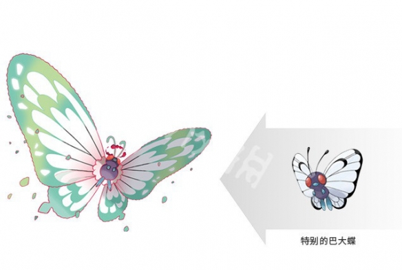 宝可梦剑盾巴大蝴属性分享（剑盾巴大蝴技能表）