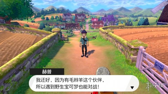 宝可梦剑盾各地图NPC有哪些 剑盾宝可梦位置大全