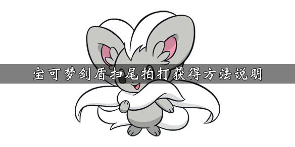 宝可梦剑盾扫尾拍打技能属性介绍（宝可梦剑盾扫码队什么意思）