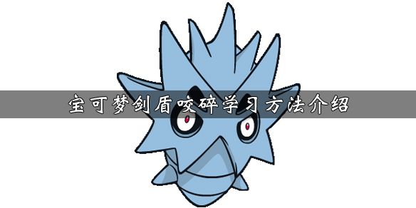 宝可梦剑盾咬碎技能效果介绍 宝可梦剑盾咬碎怎么获得