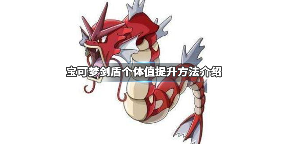 宝可梦剑盾个体值怎么看 宝可梦剑盾个体值怎么看
