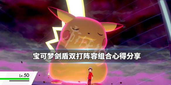 宝可梦剑盾双打阵容怎么搭配（宝可梦剑盾双打阵容怎么搭配的）