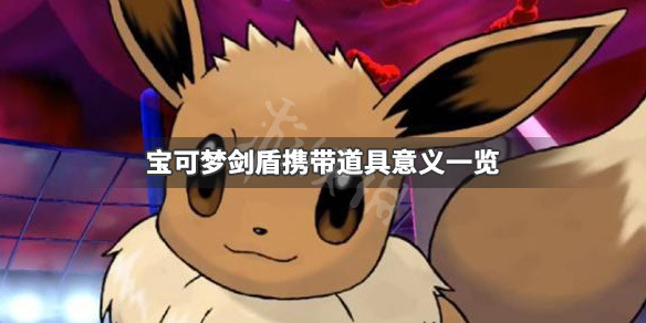 宝可梦剑盾怎么携带道具 宝可梦剑盾怎么携带道具进化