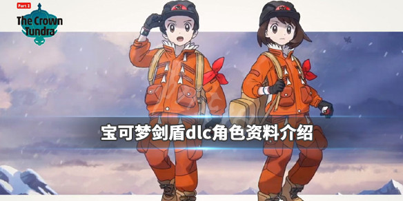 宝可梦剑盾dlc角色资料介绍（宝可梦剑盾dlc角色资料介绍）