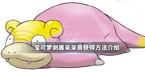 宝可梦剑盾呆呆兽在哪 宝可梦剑盾呆呆兽在哪抓