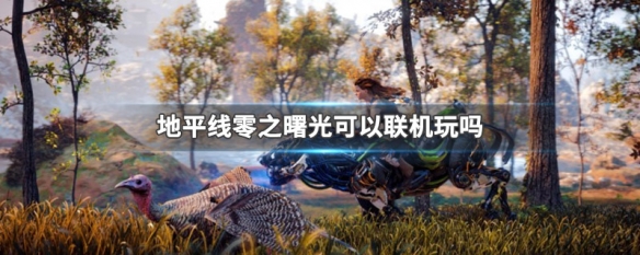 地平线零之曙光可以联机玩吗 地平线零之曙光单机可以玩吗