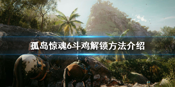 孤岛惊魂6斗鸡在哪（孤岛惊魂6斗鸡哪个强在哪里）