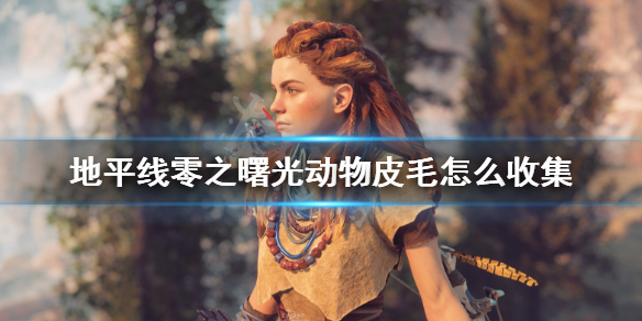 地平线零之曙光动物皮毛怎么收集 地平线零之曙光兽皮