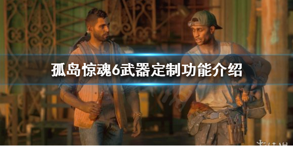 孤岛惊魂6武器可以定制吗（孤岛惊魂6武器可以定制吗知乎）