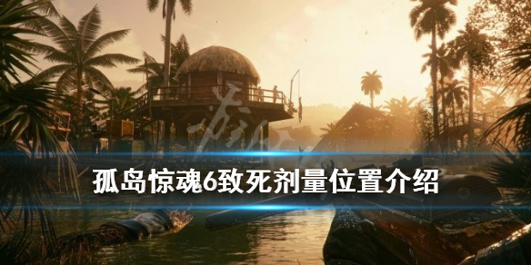 孤岛惊魂6独特武器致死剂量怎么获得（孤岛惊魂6 特殊武器）