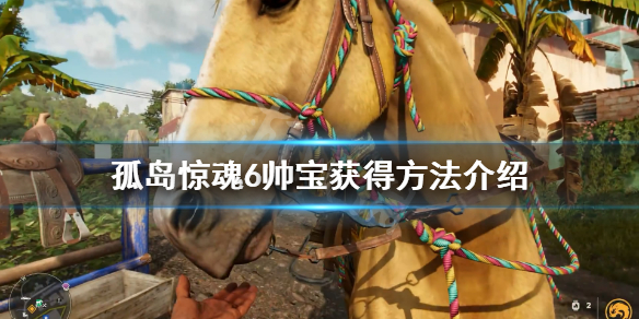孤岛惊魂6帅宝怎么获得 孤岛惊魂6最帅套装