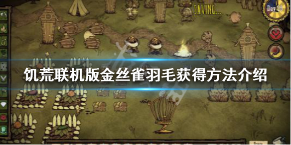 饥荒联机版金丝雀怎么刷 饥荒联机版金丝雀怎么刷出来