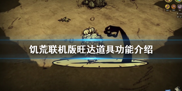 饥荒联机版旺达特殊道具有哪些（饥荒新人物旺达怎么玩）