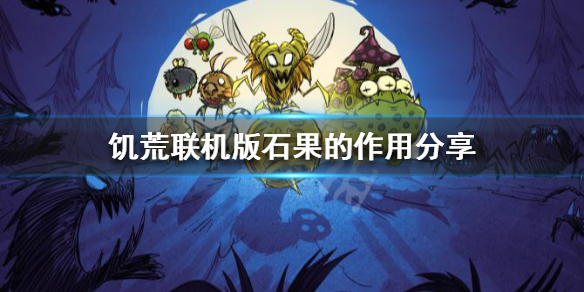 饥荒联机版石果什么用 饥荒联机版石头果