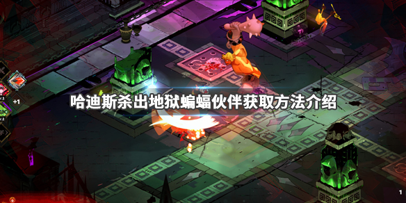 哈迪斯杀出地狱蝙蝠伙伴怎么获得（哈迪斯 蝙蝠）