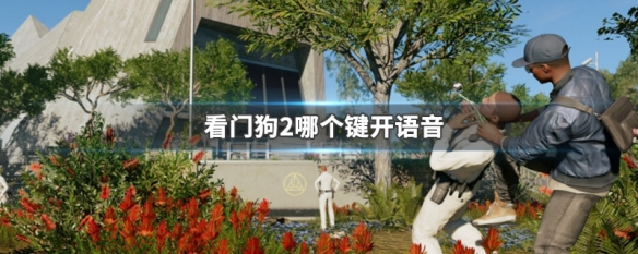 看门狗2哪个键开语音（看门狗2按哪个键语音聊天）