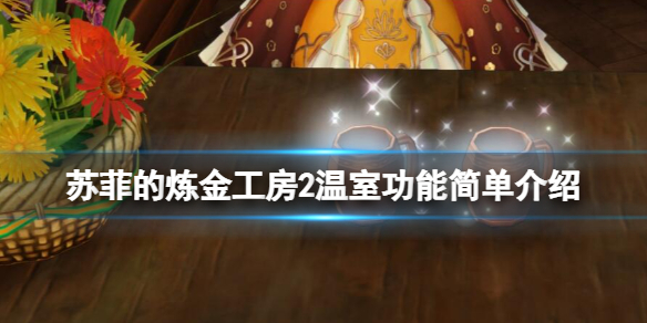 苏菲的炼金工房2温室有什么用 苏菲的炼金工房怎么提升好感度