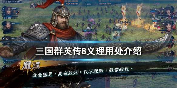 三国群英传8义理有什么用（三国群英传8义理是什么）