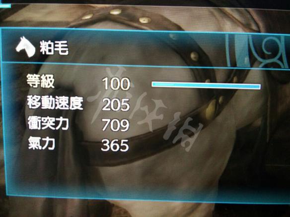 真三国无双8马匹大全 马匹获得方法及满级属性一览 芦毛_网