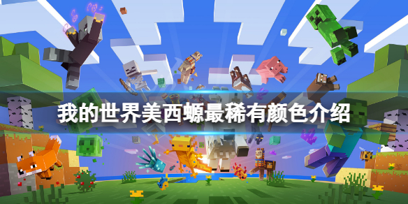 我的世界美西螈什么颜色最稀有（我的世界美西螈什么颜色最稀有?）