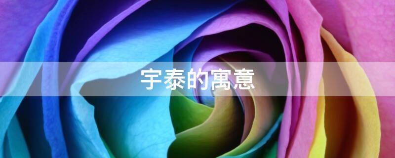 宇泰的寓意（宇泰的含义）