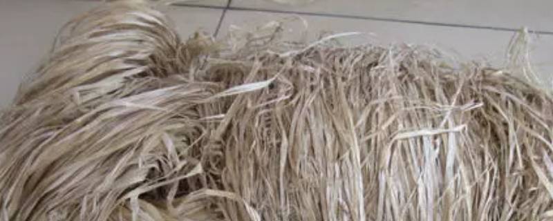 植物纤维是纯棉吗 天然植物纤维是纯棉吗