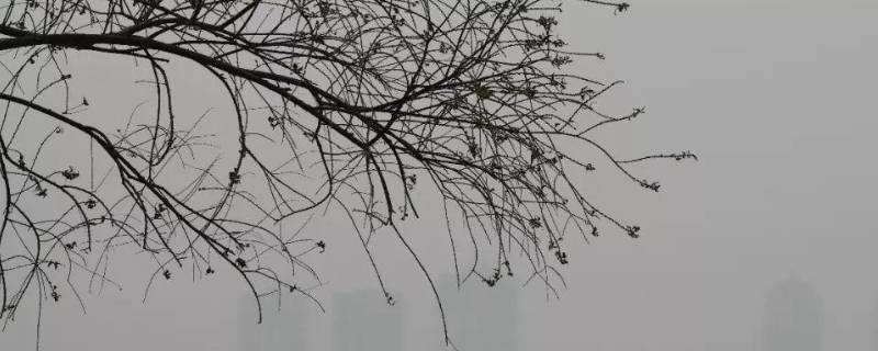 什么天气系统造成的大风为多 造成大风以什么等天气系统造成的大风居多