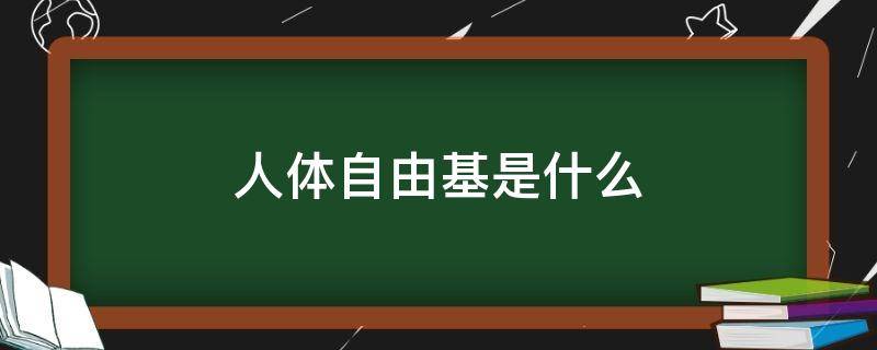 人体自由基是什么（人体自由基是什么是,视频）