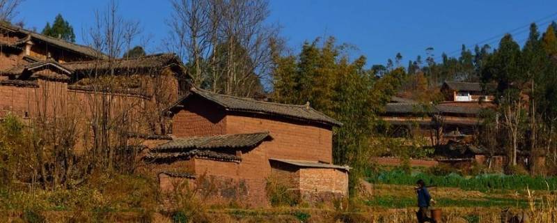 村里建个群叫什么名字（村里建群叫什么名字好）