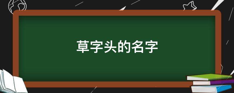 草字头的名字（关于草字头的名字）