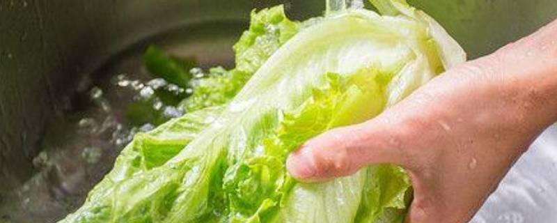 广东过年葱和生菜寓意（过年的时候挂生菜葱是什么寓意）
