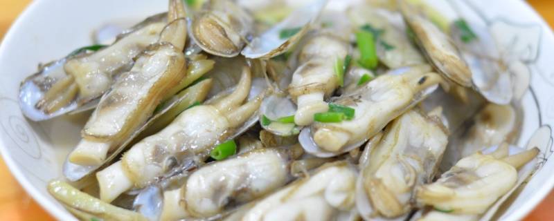 蛏子怎么读（蛏怎么读 拼音）