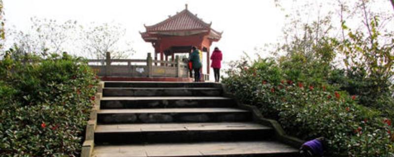 广安兔儿山公园在哪里（广安兔儿山公园在哪里啊）