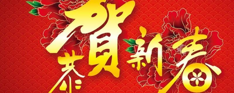 春节文化的收获和感悟 春节文化的收获和感悟简短