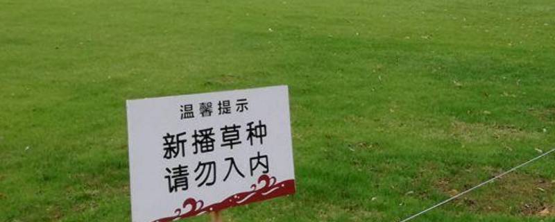 关于爱护草坪的宣传标语（关于爱护草坪的宣传标语图片）