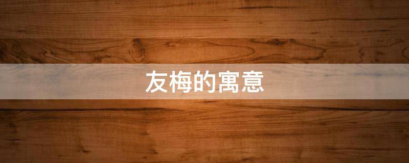友梅的寓意 梅意的含义