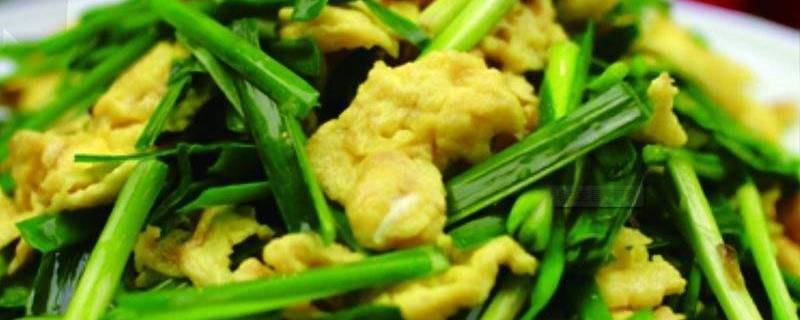 韭菜可以炒哪些东西（韭菜还可以炒什么好吃）