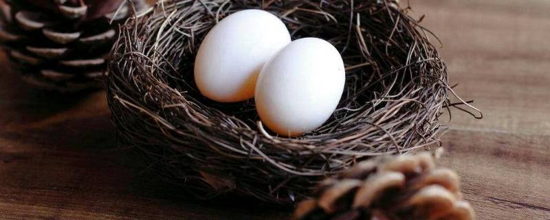 鸽子蛋如何保存还能孵（鸽子蛋怎样保存还能孵化）