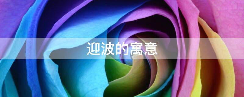 迎波的寓意 迎波面是什么意思