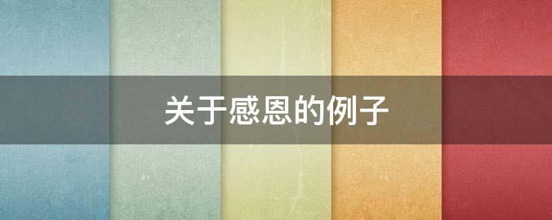 关于感恩的例子 关于感恩的例子简短