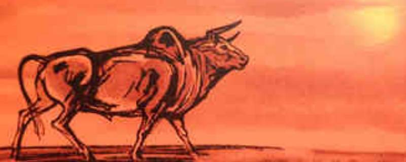 关于牛年的小知识（关于牛年的小知识大全）