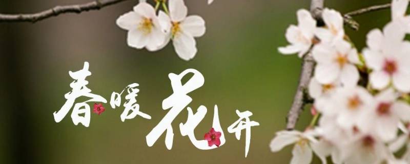 春暖花开祝福语有哪些 春暖花开的祝福语怎么说