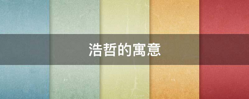 浩哲的寓意 浩哲寓意的视频